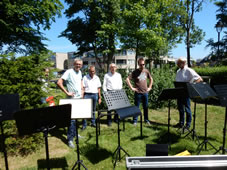 Uitvoering 2017 Muziektuin (4).jpg